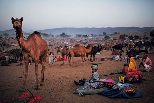 Golden Triangle tour with Pushkar